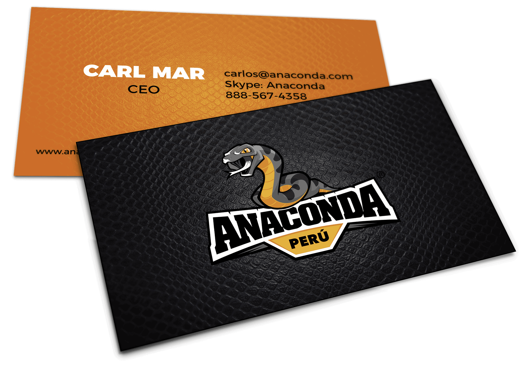 anaconda business card