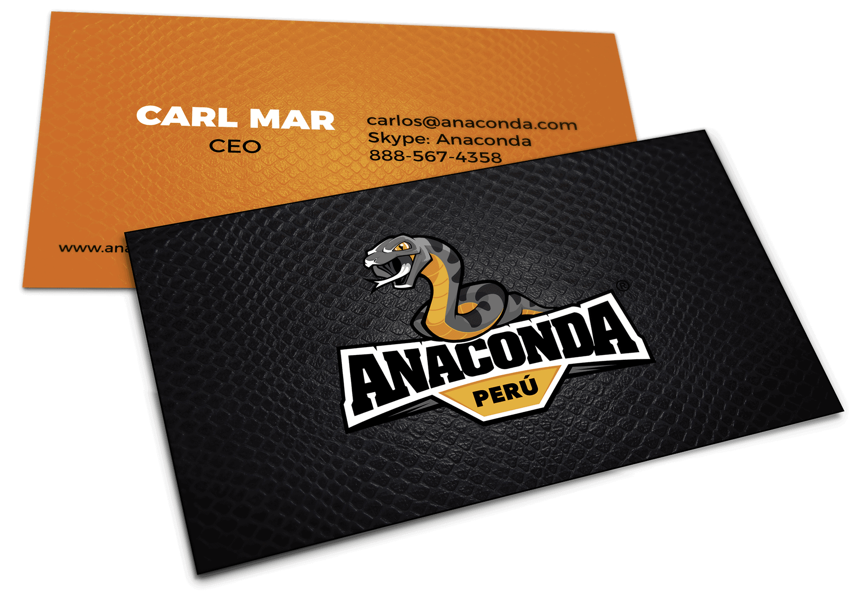 Anaconda logo en tarjeta de visita