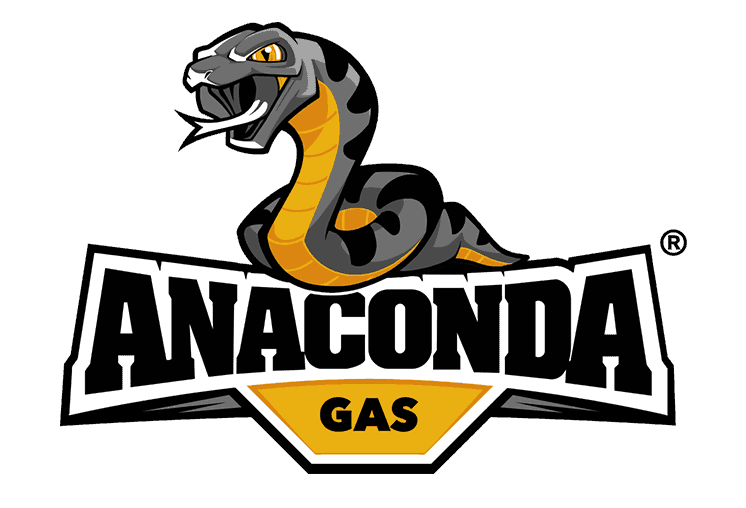 Logo design Anaconda