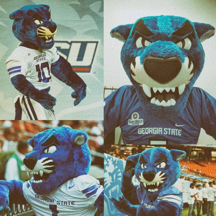 georgia university mascot