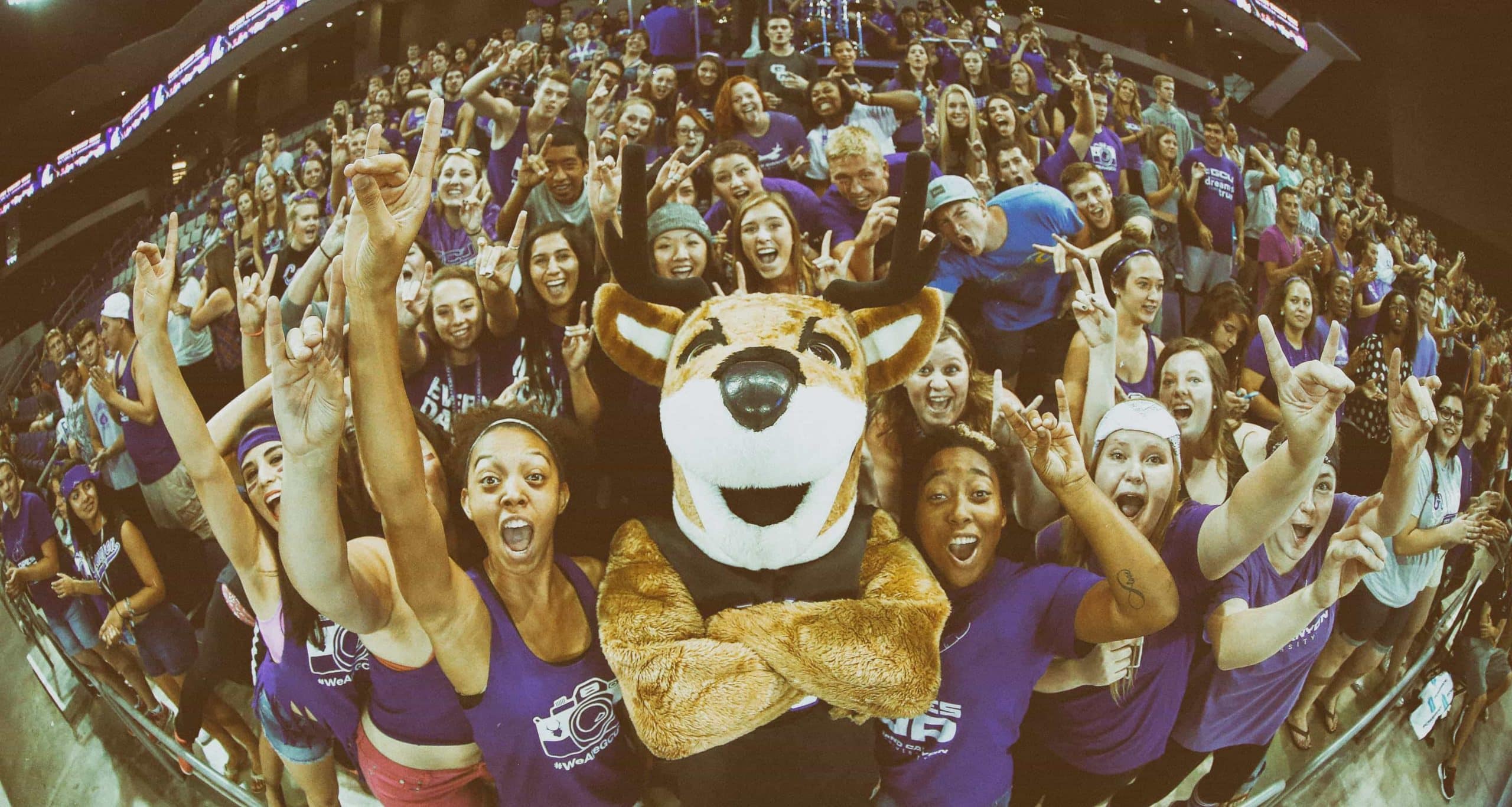 thunder mascot costume gcu